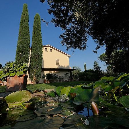 Agriturismo Le Vallette Bibbona Εξωτερικό φωτογραφία