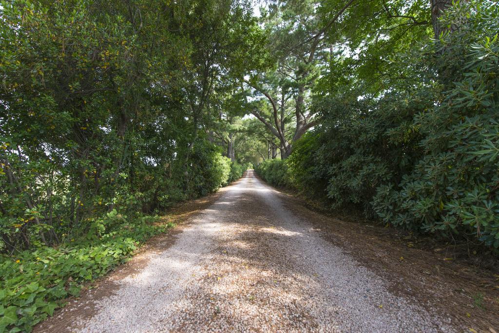 Agriturismo Le Vallette Bibbona Εξωτερικό φωτογραφία