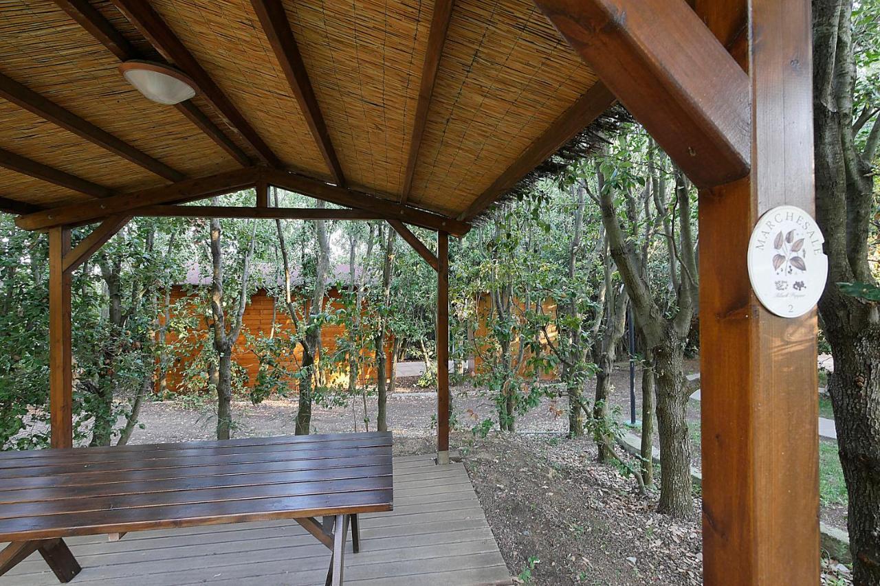 Agriturismo Le Vallette Bibbona Εξωτερικό φωτογραφία